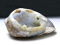 貝化石の水晶（シェルクォーツ：インド産）